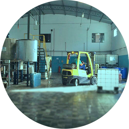 Produção